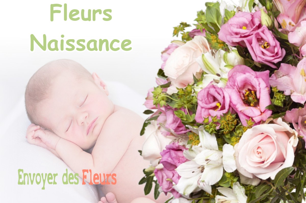 lIVRAISON FLEURS NAISSANCE à SAINT-LOUP-EN-COMMINGES